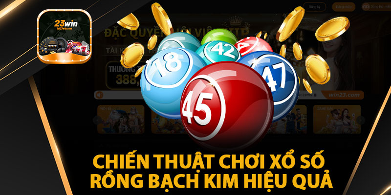 Chiến Thuật Chơi Xổ Số Rồng Bạch Kim Hiệu Quả